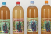 Kombucha – PET